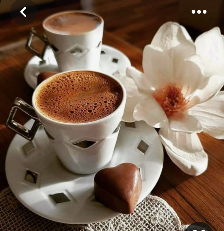 Screenshot_20230710_233144_Pinterest