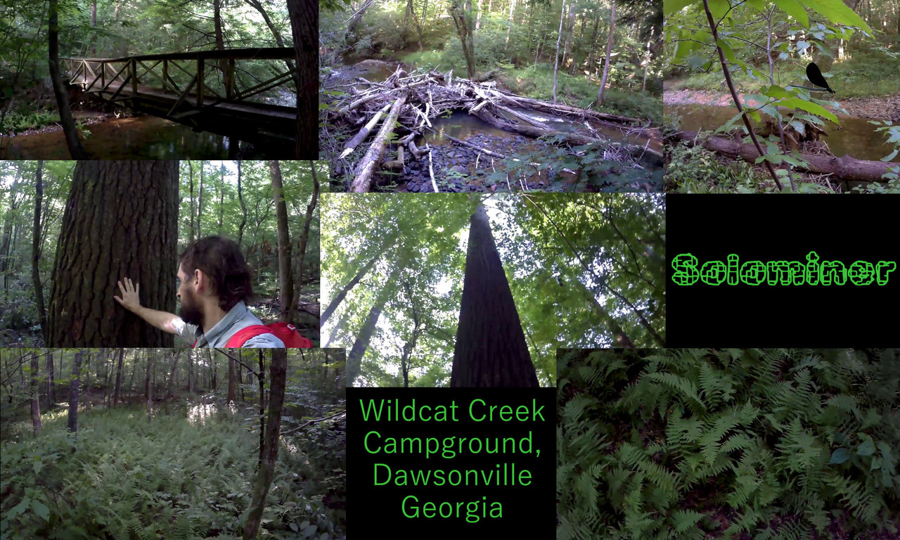 wildcatcreekcampgroundcover.jpg