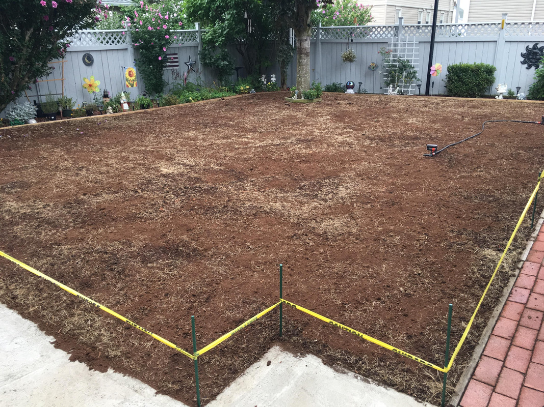 2017_Backyard_Reno_Day_2