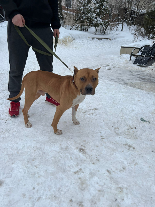 WhatsApp Image 2024-01-28 at 16.04.43 (2)