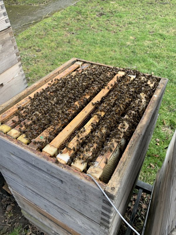 798AD05F-AE22-4237-AA10-1B5C92520E43