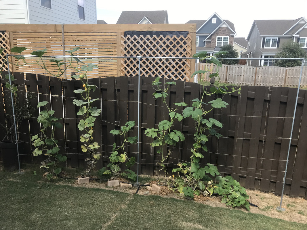 72595C28-0AF0-4006-B855-26A0A361C4BA