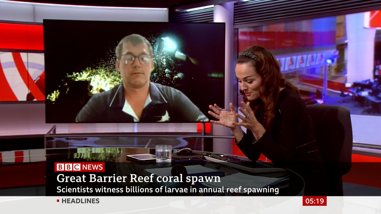BBC News Fritz_20211126_05000600.ts_snapshot_00.20.19.080