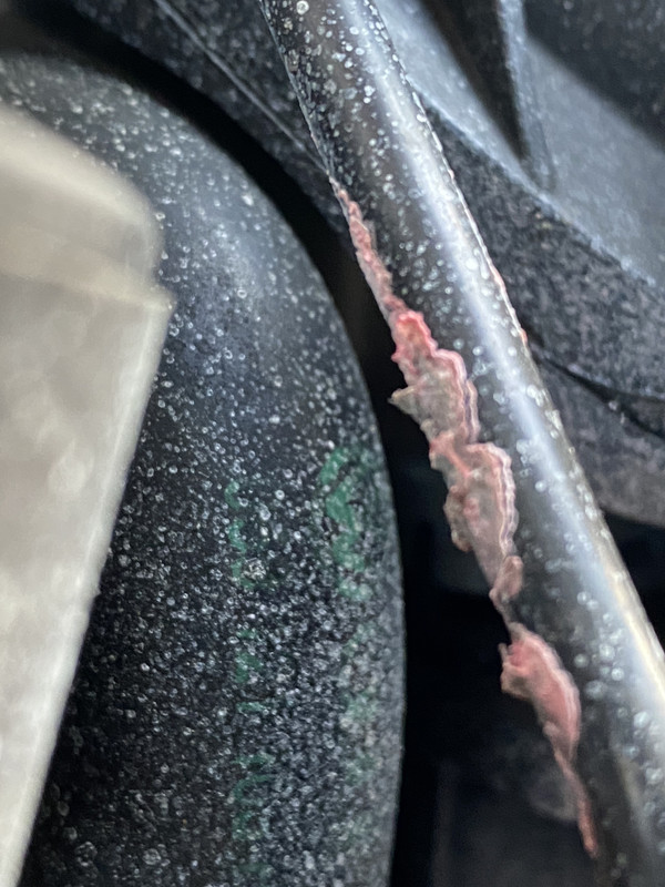 6B8EDCD7-03CF-48D8-8623-5AA1F637CDC2