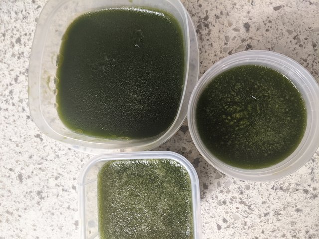 [Image: IMG-20200906-104422.jpg]