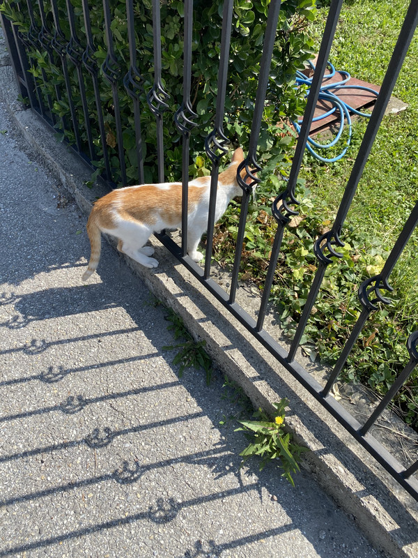 7E6FC223-E4E2-481E-B578-16F744992948