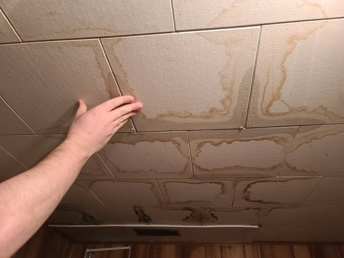 Indications of Dampness Beneath Tiles