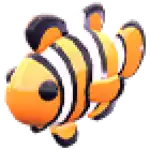 Clownfish