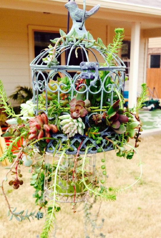 flowersbirdcage.jpg