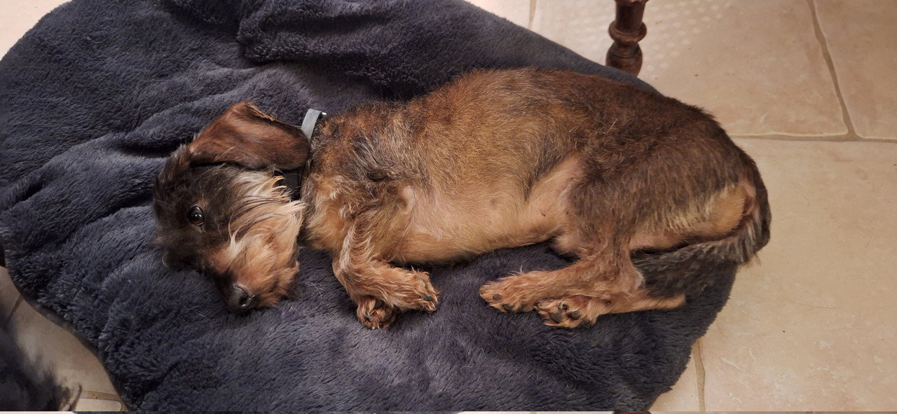 [Image: 20251129-193723.jpg]