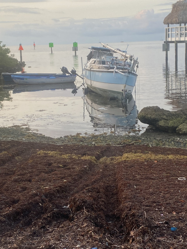 86D4B37D-3FB4-40CF-97A1-28FFE9CD6C1C