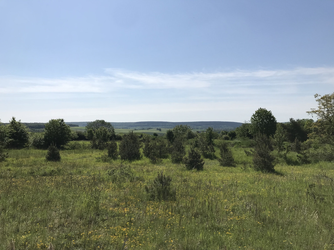 D73B5731-8D42-4D96-9E3C-A3F4F1A613FD