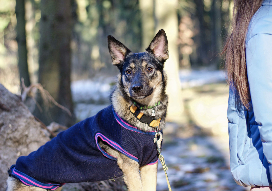 358B9161-D19B-4144-A903-A7F72B9A17FD