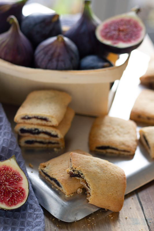 Homemade Fresh Fig Newtons — Michelle Bessudo 3046