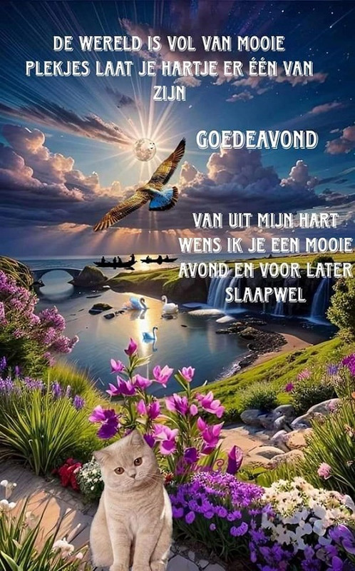 De-wereld-is-vol-mooie-dingen-goede-afmeting