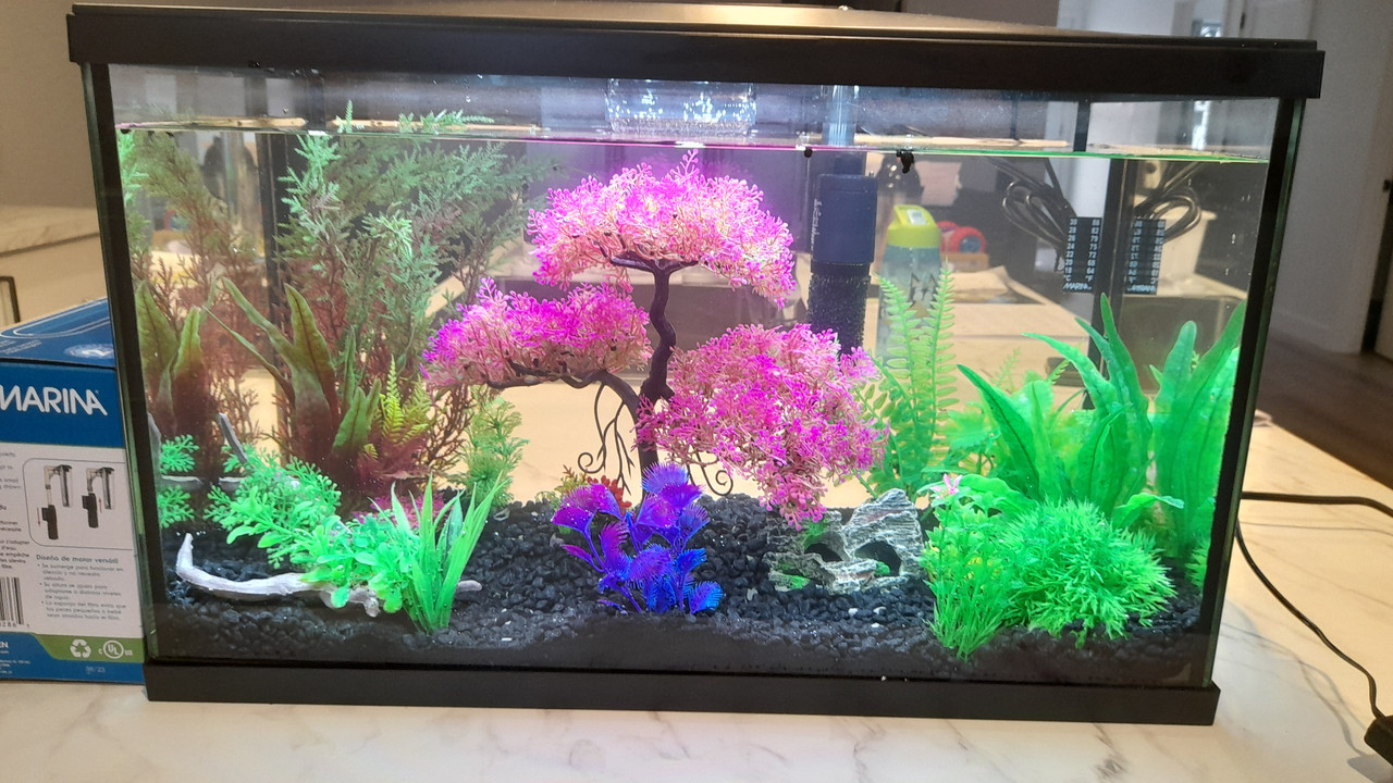 1 - Image aquarium 1