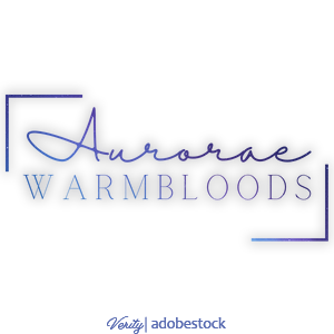 Aurorae-Warmbloods-SA.png