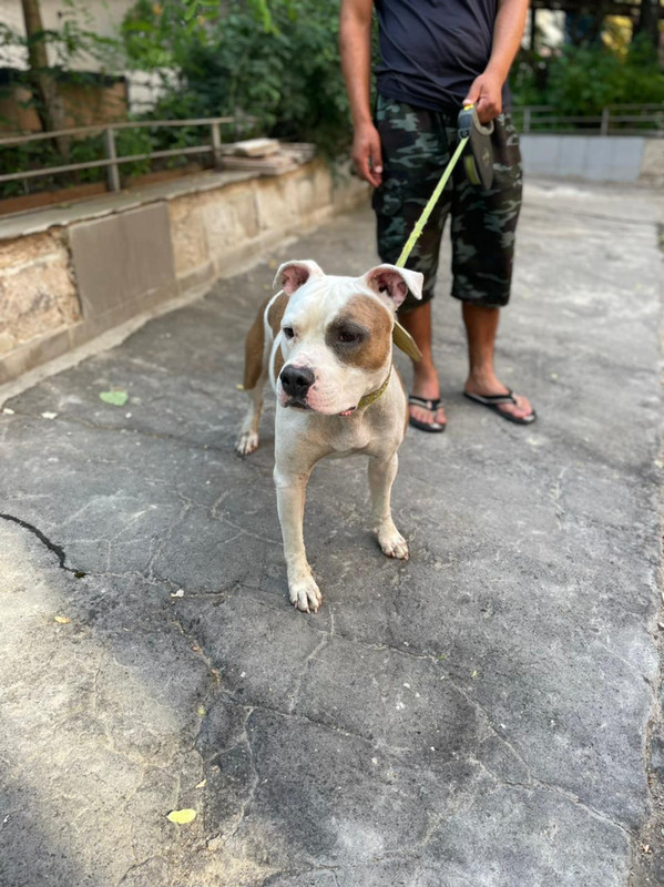 WhatsApp Image 2022-08-05 at 14.54.02 (2)