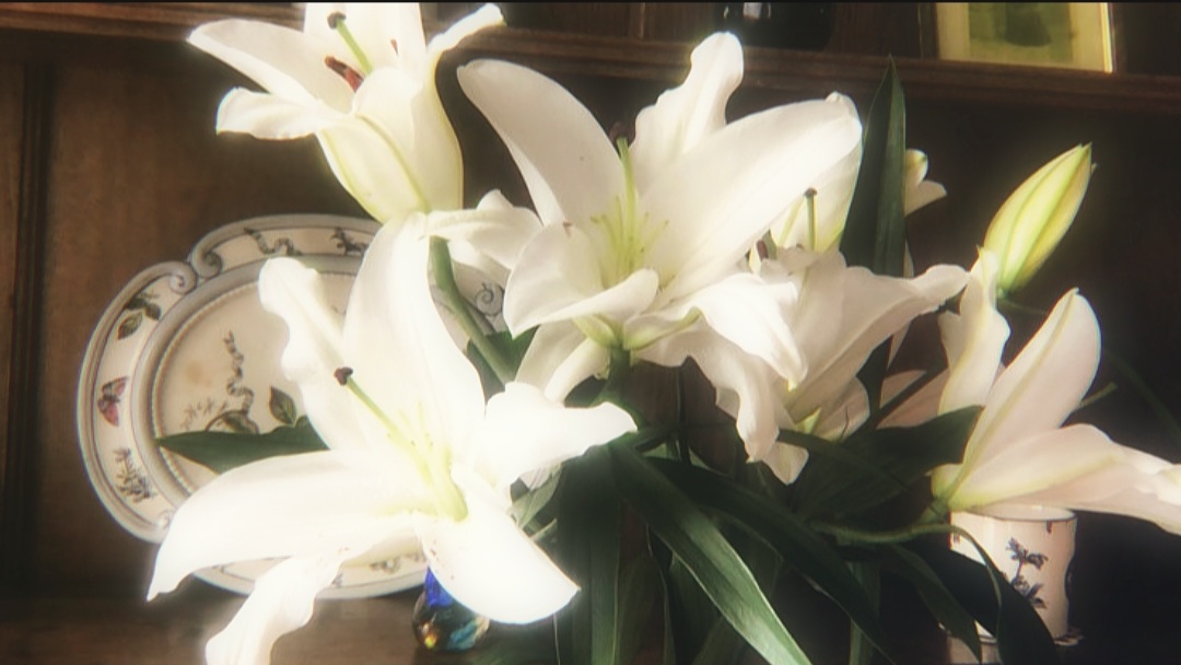 lilies