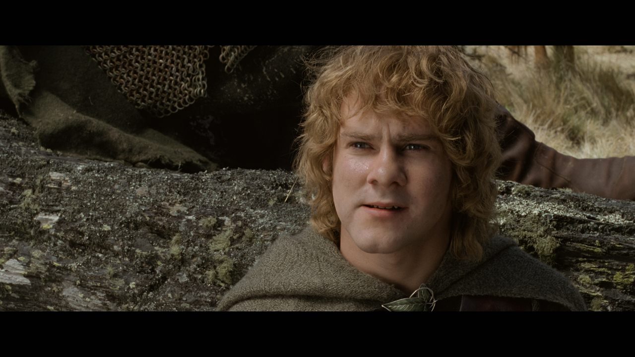 The Lord of the Rings- The Return of the King (EXT.) PT. 2.mkv_snapshot_00.11.09_[2020.12.19_21.11.3