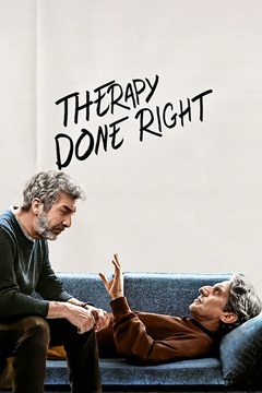 Therapy Done Right 2026 DUAL 720p WEB-DL x264-TFPDL