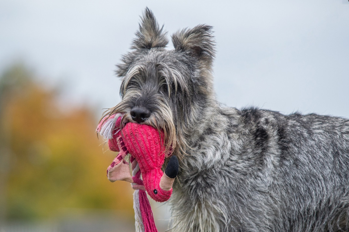 FCfmIgy8-0-1sc0EpV4k5mt9QsfDvYQ77v96zmtye165Z6125itsjMXnTHTwRCNFMQNtU72eJRdy6M_Qcc81-lww