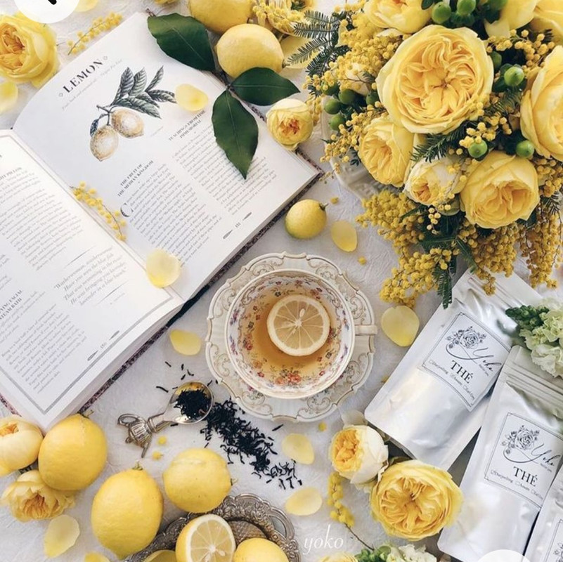 Screenshot_20221227_005403_Chrome