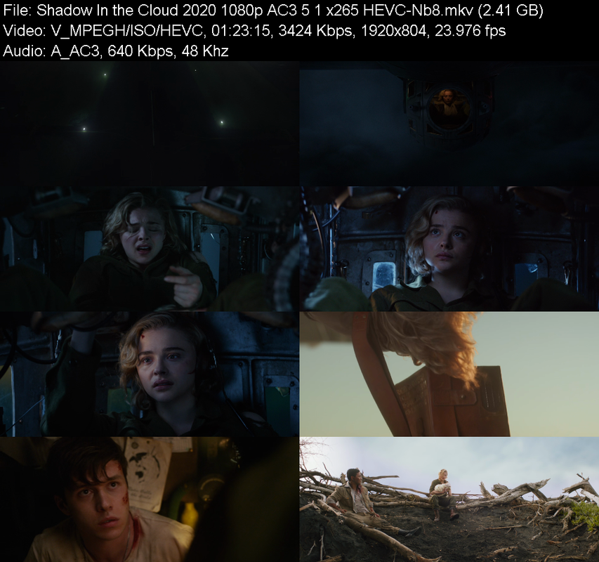shadow-in-the-cloud-2020-1080p-ac3-5-1-x