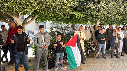 IMG-1654