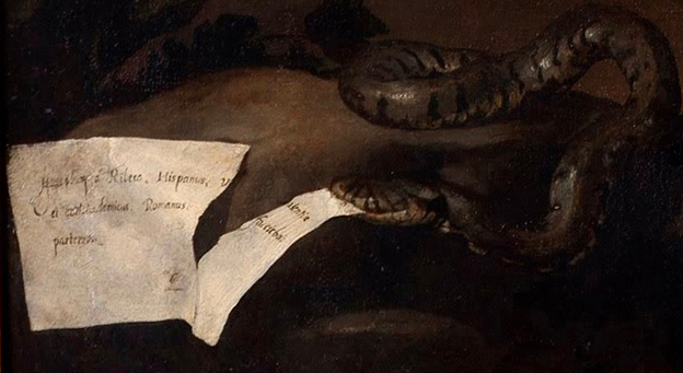 Roma y Nápoles: Bernini, Giorgione y mucho más. - Blogs de Italia - Nápoles: Museo de Capodimonte y Galerías de Italia. (126)