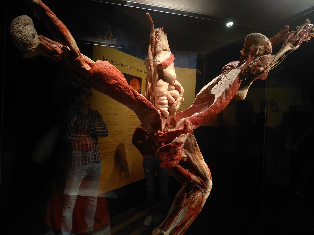 72416683_737150593429468_4187059923474972672_n