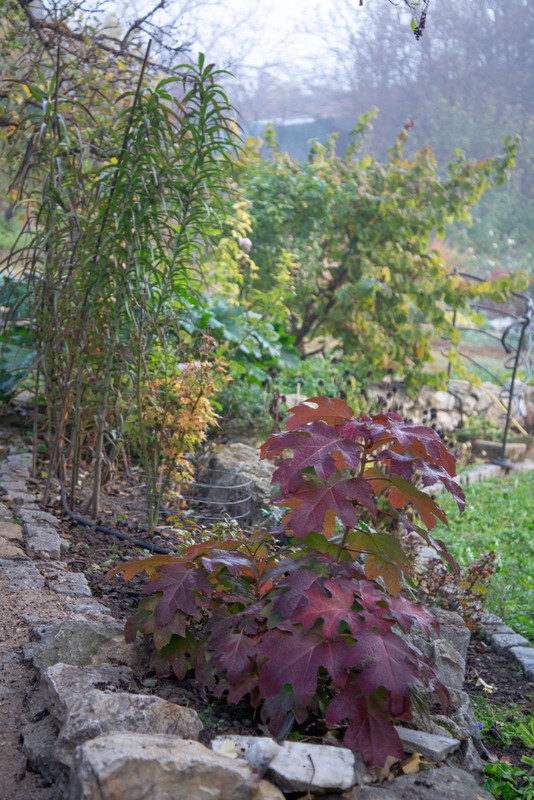 IMG-a6bad78aa92073405f5d3ffa57a0ca8e-V