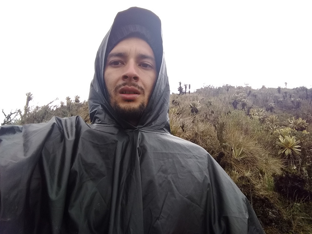 HENRY ORTIZ UTIMA CAPOTA