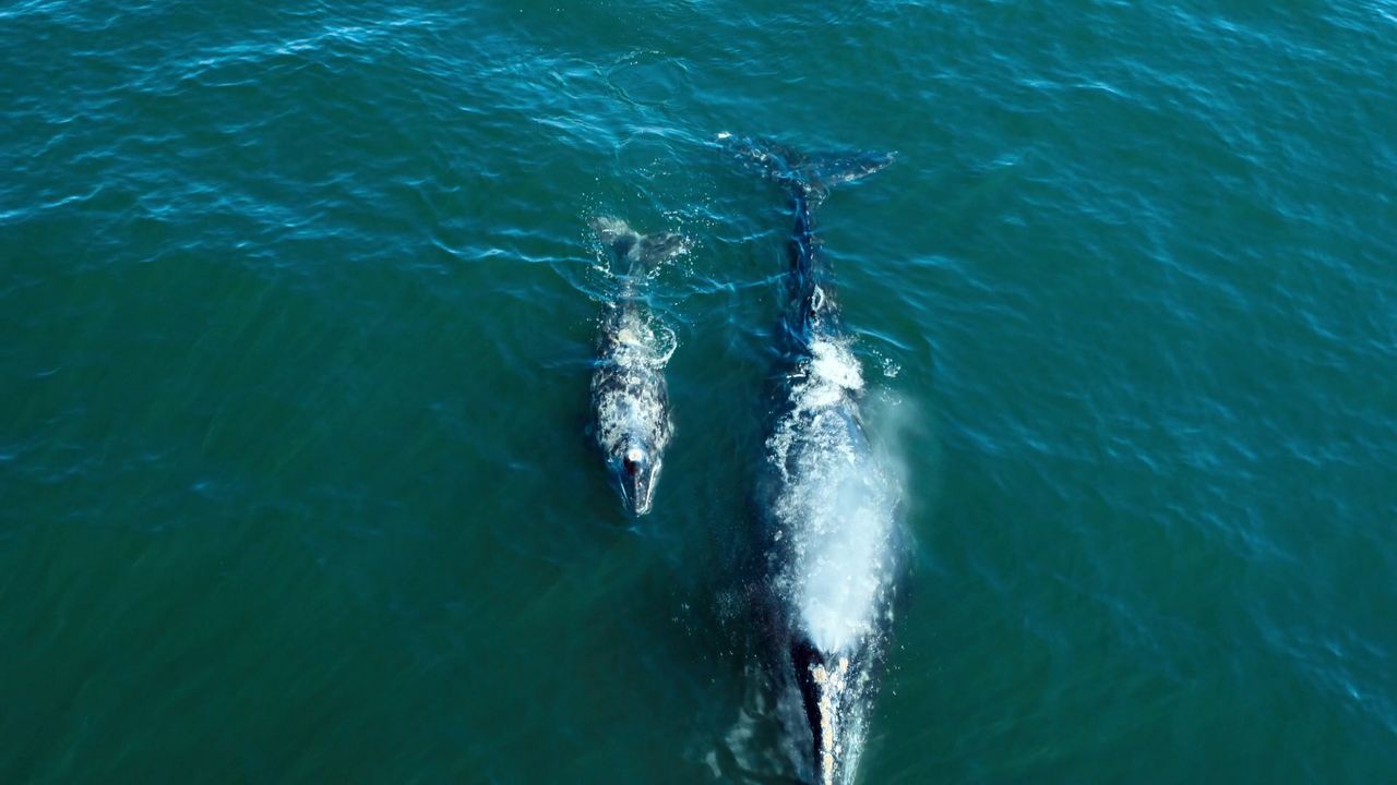 vlcsnap-2023-05-08-10h02m49s068