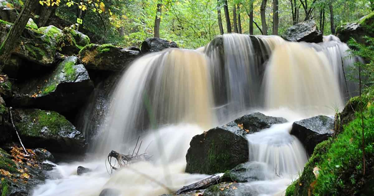 Forêt du Ninglinspo