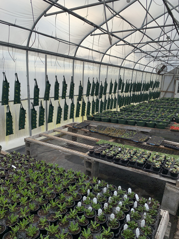 DE785A7A-CCFA-4A22-A6D6-E42F49A8C4DC