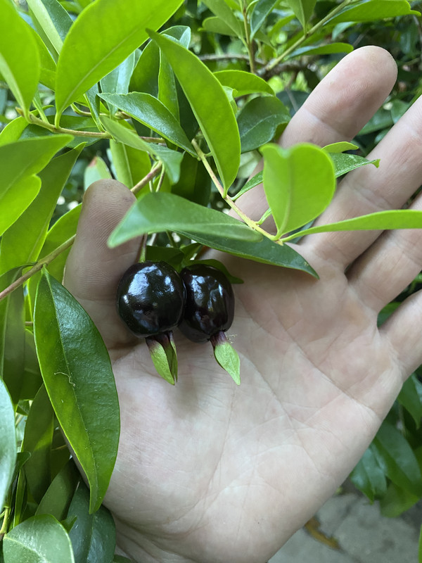 DED81699-54AA-48AF-8E17-12ED6B9C6D14