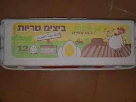 В Израиле из продажи изымаются яйца из-за подозрения на сальмонеллез