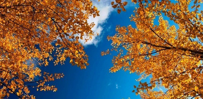 In autunno si guarda il cielo dans Citazioni, frasi e pensieri Autunno
