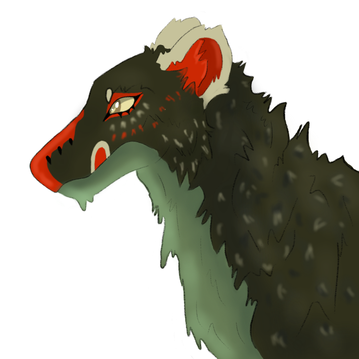 IMG-1041.png