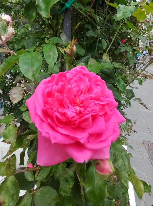 https://i.postimg.cc/vTmzCXxK/50-IMG-20250706-155739.jpg