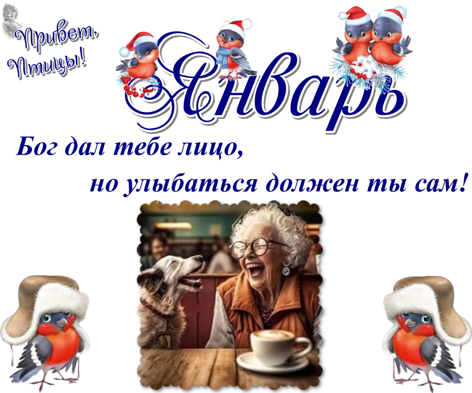 https://i.postimg.cc/vTn21YGj/06-01.png