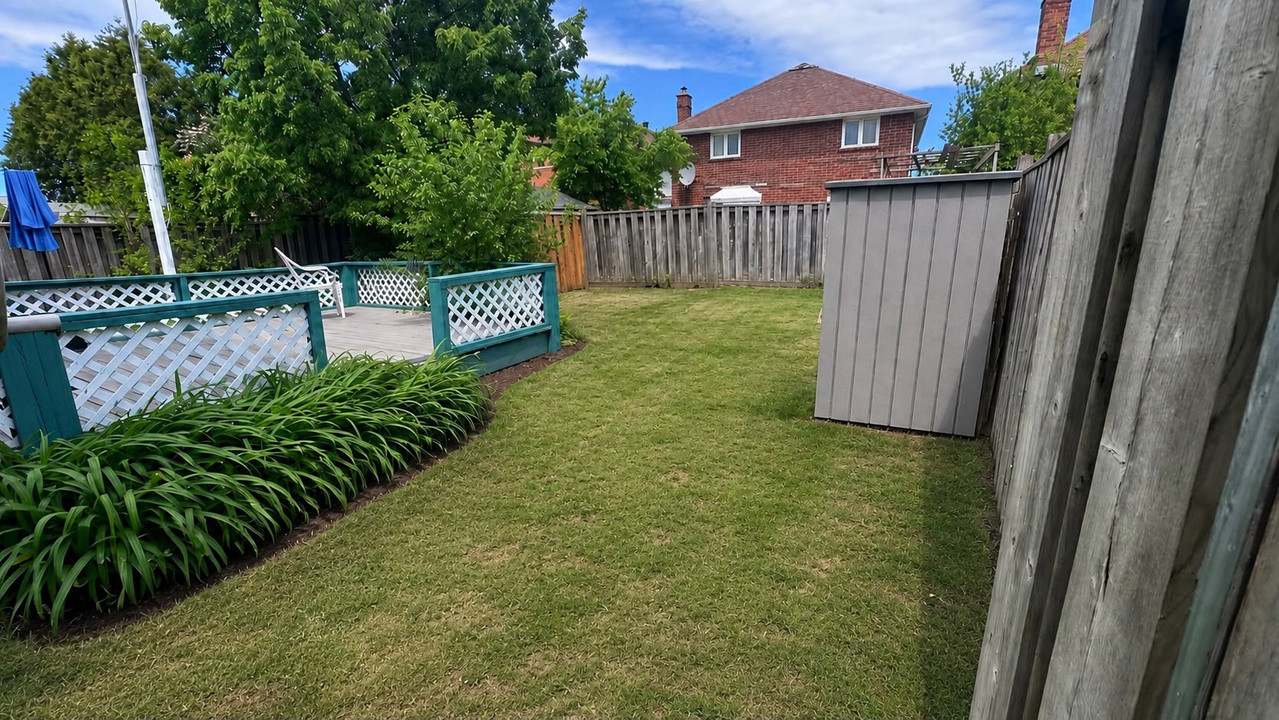Beautifully maintained lawn after our service