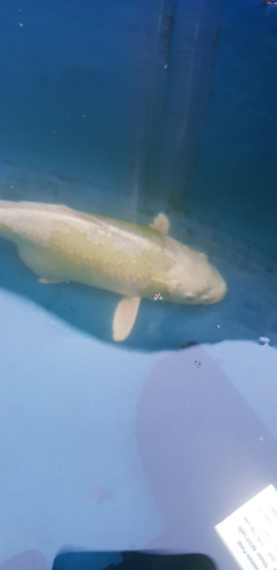 20190603_205050