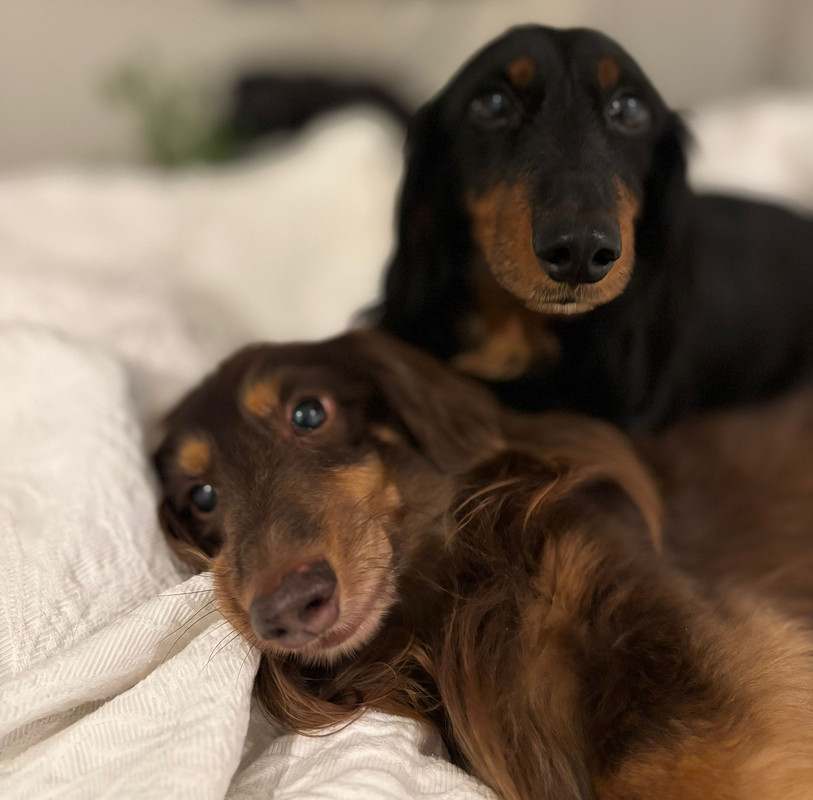 [Image: IMG-20250123-WA0018.jpg]