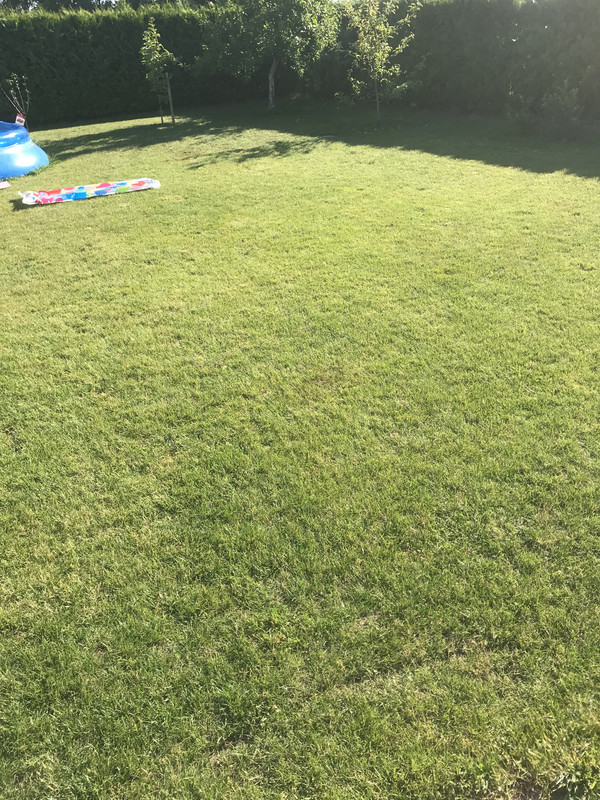 762F3761-245B-497D-9646-85061CBEAEE0