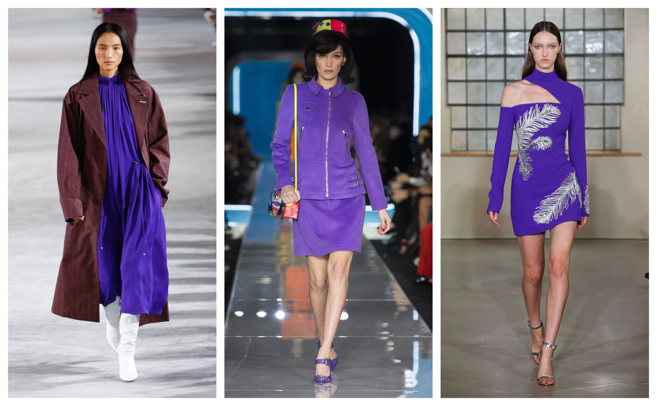 color trends