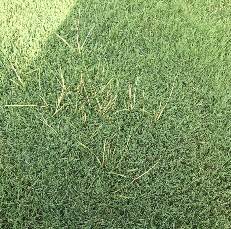 94A15597-A3A6-4D60-9413-9D217835420C