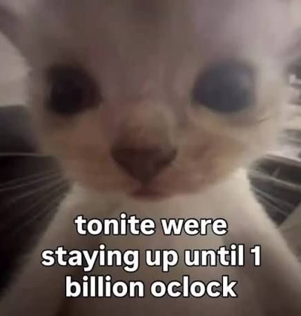 tonight were staying up until 1 billion oclock