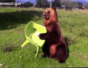 tumblr-mnn8t3-Kn-Q11r3gb3zo1-400.gif